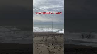 釣れるか❓マツカワ超大物ポイント⁉️