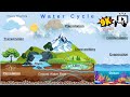 Water Cycle