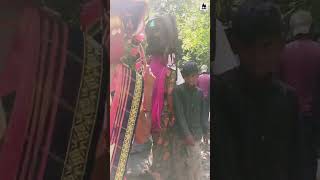 ગીરનાર પરીક્રમા || girnar lili parikrama live #shots #ytshorts