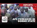 MIXED REACTIONS TRAIL BORNO APC PRIMARIES AMID TRANSPARENCY CALLS