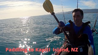 Kayaking to Kapiti Island, New Zealand