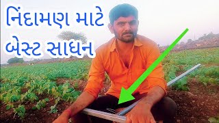 આવા મગ થશે કે નય 🤔 | ઉનાળુ મગની ખેતી પધ્ધતી | ઉનાળુ મગની માહિતી |