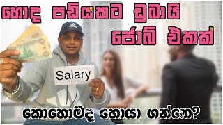 ඩුබායි ගිහිං ගොඩ යන්න නම්?how to find jobs in dubai|UAE| sinhala | 2024