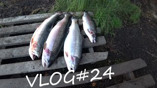 VLOG#24 Рыбалка в Швеции на форель.regnbåge(fisk) Hofors