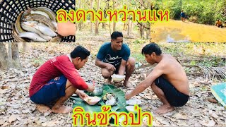 กินข้าวป่า..ลงดาง..หว่านแห | วิถีพื้นบ้าน Channel