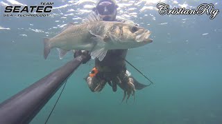 PESCASUB SEATEC - Pescando S'Impara | SPEARFISHING - By Fishing You Learn | CHASSE SOUS MARINE