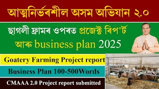 ছাগলী ফ্ৰামৰ ওপৰত প্ৰজেক্ট ৰিপ'ৰ্ট, business plan | Goatery farming project report atmanirbhar assam