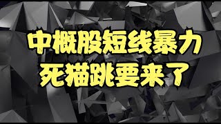 漫谈中概股 | 外资集体唱多中国资产，拜登释放阶段性友好信号，中国突然放宽外资持股比例，中概股短线暴力死猫跳要来了！