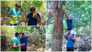 उन्हाळ्यातील कोकण - गावातील गावपण | Konkan Daily Vlog | Gavkhadi Ratnagiri