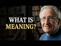 Noam Chomsky: Mind Body Problem & Mathematical Realism