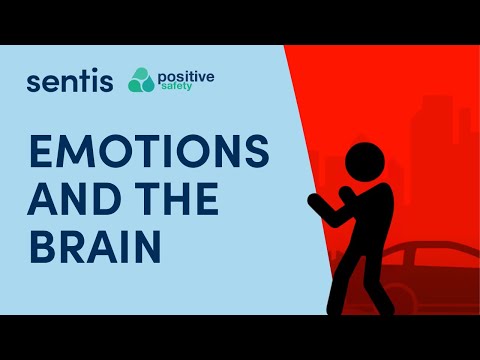 Which part of the brain is crucial for the expression and regulation of emotions?
