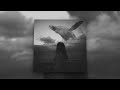 SymphoCat - Long Whale Song (Slowed + Reverb) [1 Hour Loop]