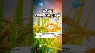 asi gala Amar tihar puspuni #new #sambalpuri #shorts #viralvideo #happyphuspuni