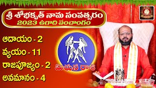 శ్రీ శోభకృత్ నామ సంవత్సరం 2023 || మిధున ఉగాది రాశి ఫలితాలు || Ugadi Mithuna Rasi Phalithalu || TFC