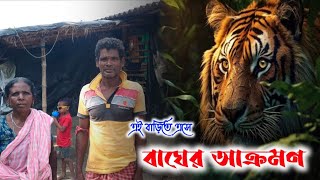 এই সেই বাড়ি, বাঘ এসে খেয়েছে | Tiger attack in Home | Tiger Attack | Sundarbans