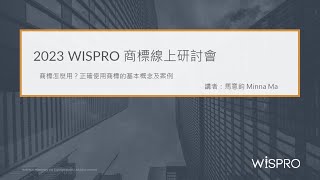 20230630 WISPRO商標研討會 正確使用商標的基本概念及案例