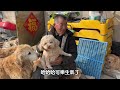 dazhuo mao children add to the meal a tall man is so close to his mouth the dog is so happy.