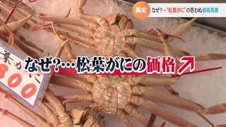 異変！松葉がにの思わぬ価格高騰…なぜ？