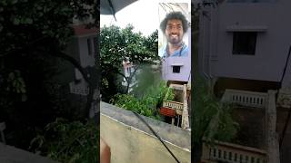 kudaikul mazhai #viral #ytshorts #entertainment #trending2023 #rain #mazhai #flood #rainyday #rainy