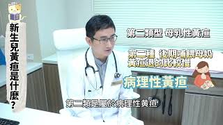 新生兒黃疸是什麼？｜專訪吳孟哲醫師