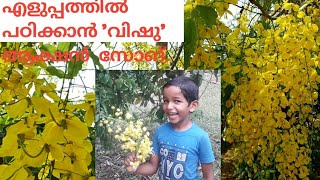 വിഷു പാട്ട് //'Vishu ' Action  song   malayalam //കുട്ടികൾക്ക് .