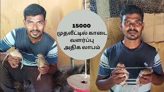 Quail farming under 15000| வீட்டில் காடை வளர்ப்பு|Quail Farming Income| Detailed Explanation