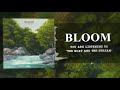 Bloom - The Boat And The Stream