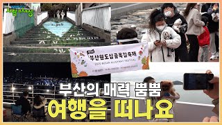 원도심의 매력이 한가득 ! 부산원도심골목길축제 | KBS 201126 방송