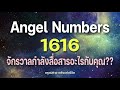 angel numbers 1616 จักรวาลกำลังสื่อสารอะไรกับคุณ สัญญาณทูตสวรรค์ ตัวเลขซ้ำ ครูแม่ต่าย พลังชีวิต