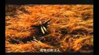 蒼狼大地.wmv.flv