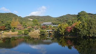 毛利氏庭園の紅葉【2022年11月14日撮影】