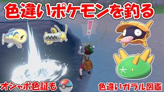 【ポケモン剣盾】色違いポケモンを釣る（オシャボ色証もあるよ。）【ガラル色図鑑⑮】ゆっくり実況