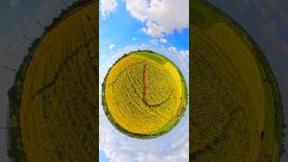 The Easiest 360 Camera Trick EVER! Tiny Planet Magic In Seconds! | Insta360 X5
