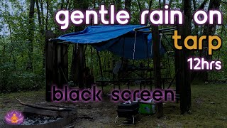 [Black Screen] Gentle Rain on Tarp | Rain Ambience No Thunder | Rain Sounds for Sleeping