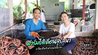 มองโลกกลับหัว Ep.48 | เลี้ยงไส้เดือน เพื่อนำมูลมาทำปุ๋ยคุณภาพดี ขายได้ทั้งมูลและตัวไส้เดือน