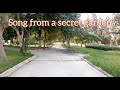 Song from a secret garden - Flute