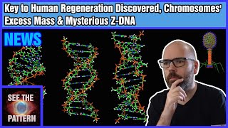 Key to Human Regeneration Discovered, Chromosomes' Excess Mass \u0026 Mysterious Z-DNA