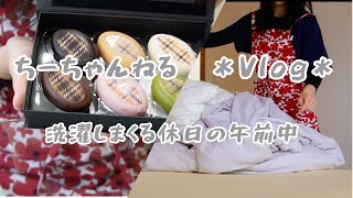 ＊Vlog＊ ひたすら洗濯する休日のルーティン｜朝ごはん｜取り寄せお菓子｜怒涛の洗濯祭｜