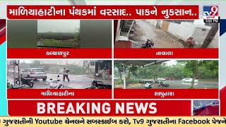 જૂનાગઢ જિલ્લામાં વાતાવરણમાં અચાનક પલટો; જીરૂ, ધાણા અને ચણામાં નુકસાનની ભીતિ | Gujarat Rain