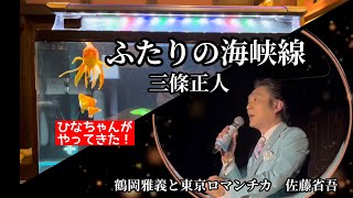 「ふたりの海峡線／三條正人」鶴岡雅義と東京ロマンチカ 佐藤省吾　「ひな」が芦野温泉へやってきました♨️ 歌は3：33からです♪