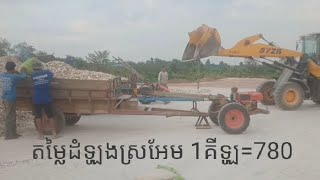 តម្លៃដំឡូងមីចុះសល់ត្រឹម780៛ Cassava prices in Sraem area fall 😊