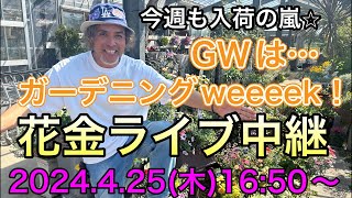 明日は花いっぱいの【花金】オニちゃんねるの園芸ライブ！