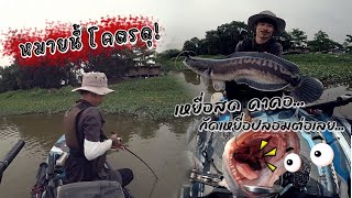 เปิดหมายใหม่...ชะโดกัดดุมาก! เหยื่อสดคาปาก  กัดเหยื่อปลอมต่อ!! | Kayak Fishing