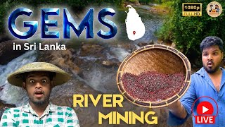 LIVE Mining Gems on River Bank 😮 ⭕ #rosequartz #Gems #gemstones #LiveStream #UpcycledGems #nature