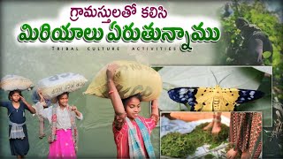 మిర్యాలు ఏరడమంటే ఒక సాహసమే||Tribes Climbing Trees Collect for Pepper||@TribalCultureActivities