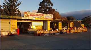 Grocery Haul | TASMANIA,  AUSTRALIA | Locally Grown | $160 | Merediths Orchard , Margate