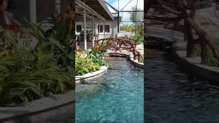 Insane Lazy River Pool with one of the Biggest Screened Enclosures in South Florida.