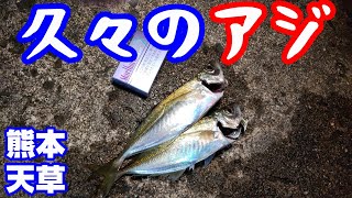 天草釣行・久しぶりのアジ【釣り】熊本