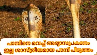 ഒരു അഭ്യാസപ്രകടനം ഇല്ലാതെ ശാസ്ത്രീയമായി പാമ്പിനെ പിടിക്കുന്ന രീതി.