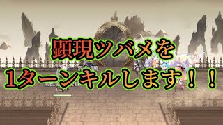 【アナザーエデン】【アナデン】顕現Nツバメ　1ターンキル 【Another  Eden】